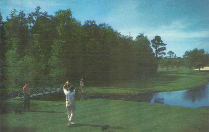 Point Clear, No. 1 at Lakewood Golf Club