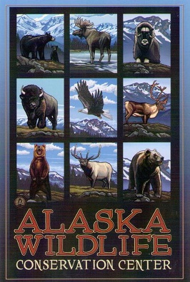 Alaska Wildlife Conservation Center, multiple views