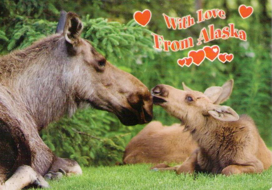 With Love from Alaska