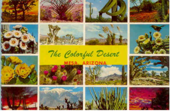 Mesa, Colorful Desert