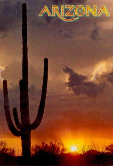 Sunset over the Arizona desert