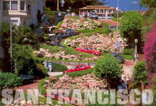 San Francisco, Hydrangeas on Lombard Street