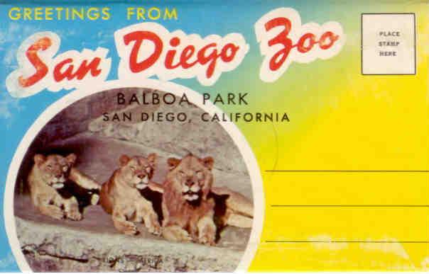 Greetings from San Diego Zoo (folio) (California, USA)