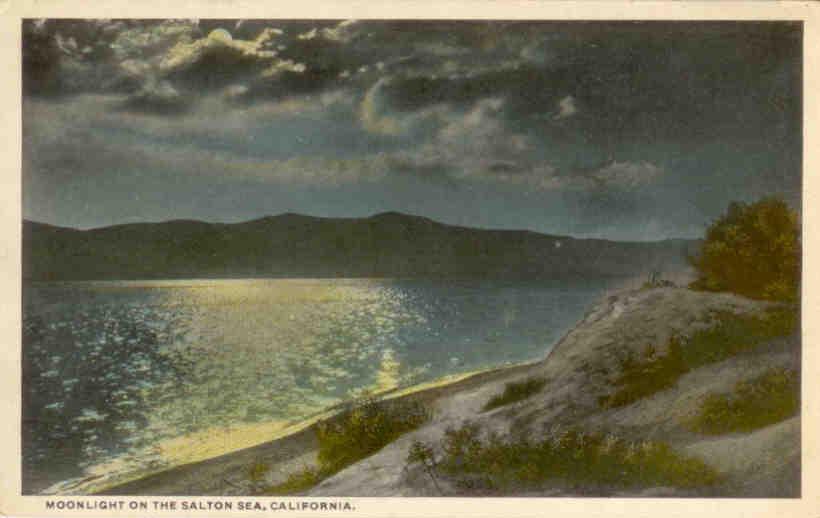 Moonlight on the Salton Sea