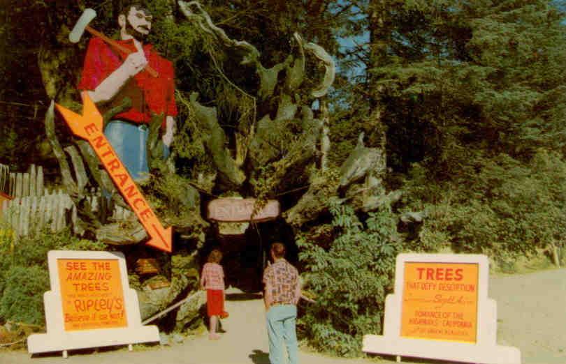 Paul Bunyan, Trees of Mystery, Redwood Highway