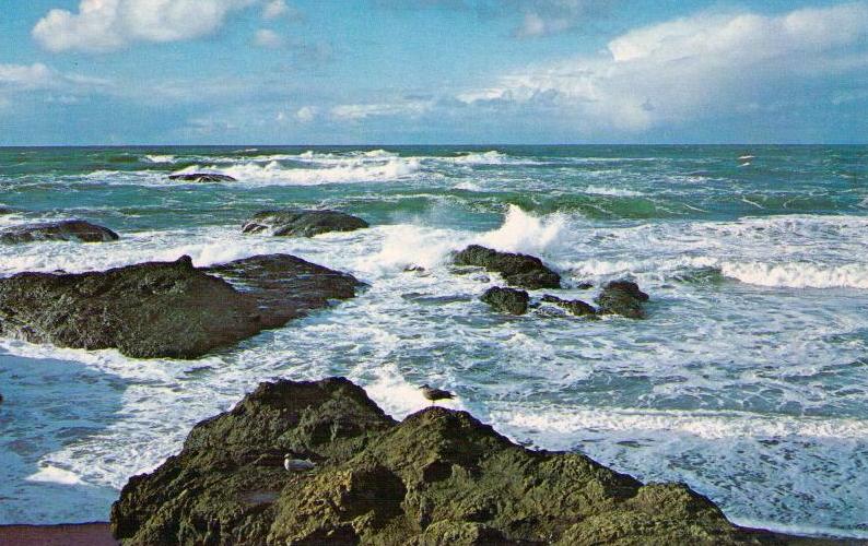 Mendocino Coast, View from MacKerricher Beach