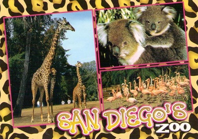 San Diego’s Zoo