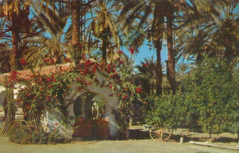 Palm Springs and Coachella Valley, date palms