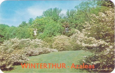 Wilmington, Winterthur – Azaleas
