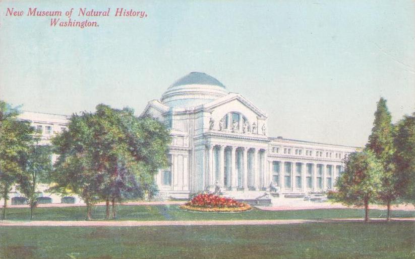New Museum of Natural History