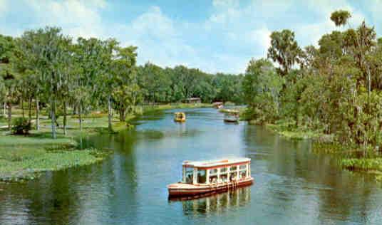 Silver Springs, glass bottom boats