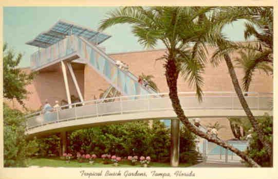 Tampa, Tropical Busch Gardens