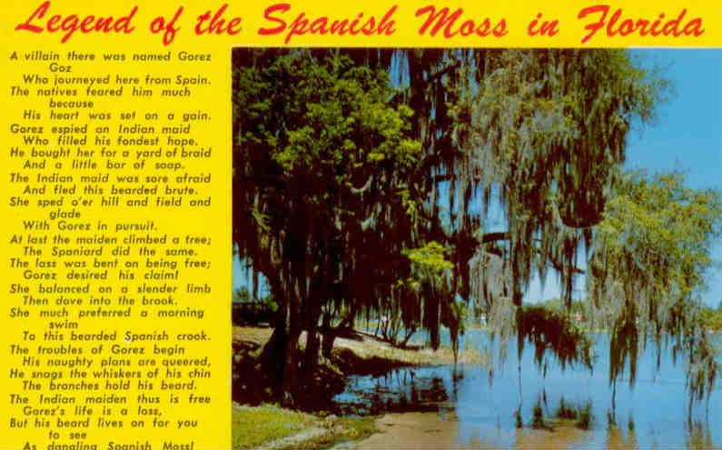 Legend of the Spanish Moss