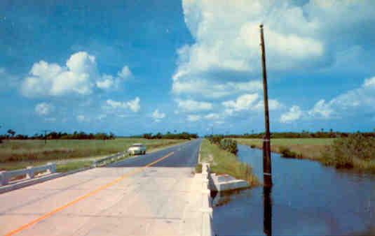 Along the Tamiami Trail