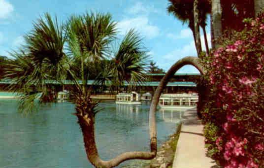 Silver Springs, Lucky Palm and glass-bottom boats