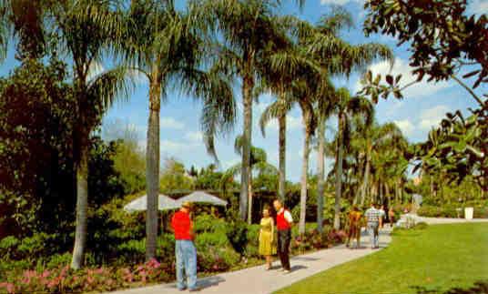Tampa, Busch Gardens walkway
