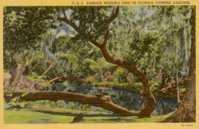 Cypress Gardens, Famous Wishing Tree