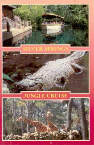 Silver Springs, Jungle Cruise