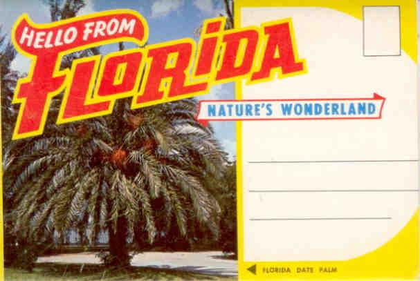 Hello from Florida (fold-out folder)