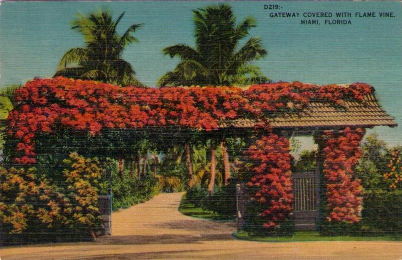 Miami, Gateway covered with flame vine