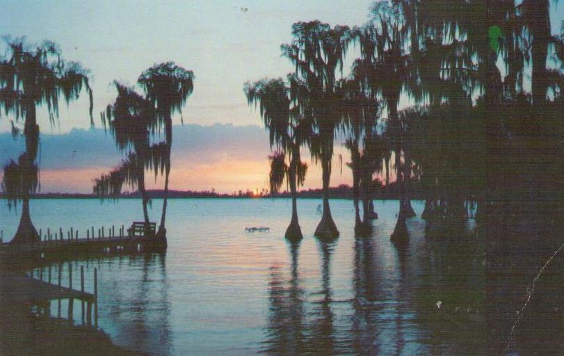 Cypress Gardens, trees and sunset