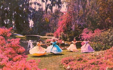 Happy Times in a Florida Garden