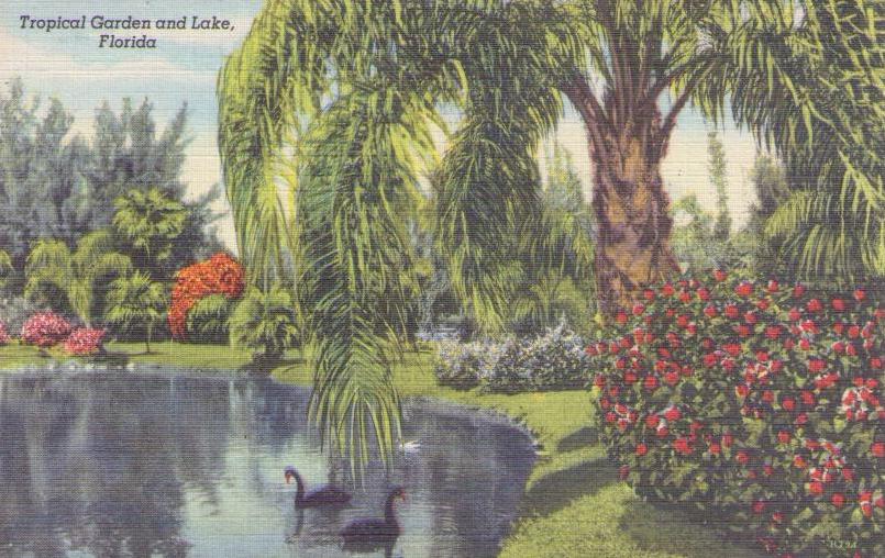 Tropical Garden and Lake