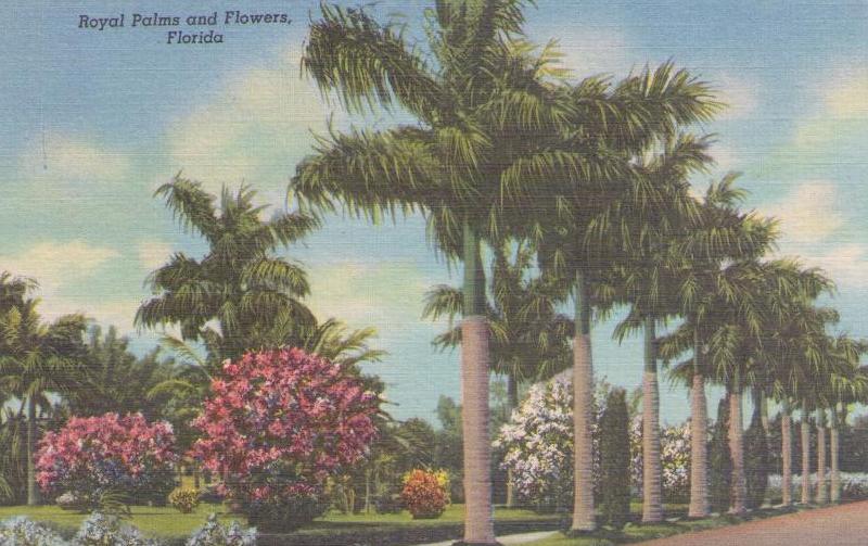 Royal Palms and Flowers