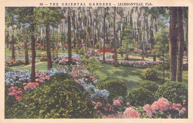 Jacksonville, The Oriental Gardens