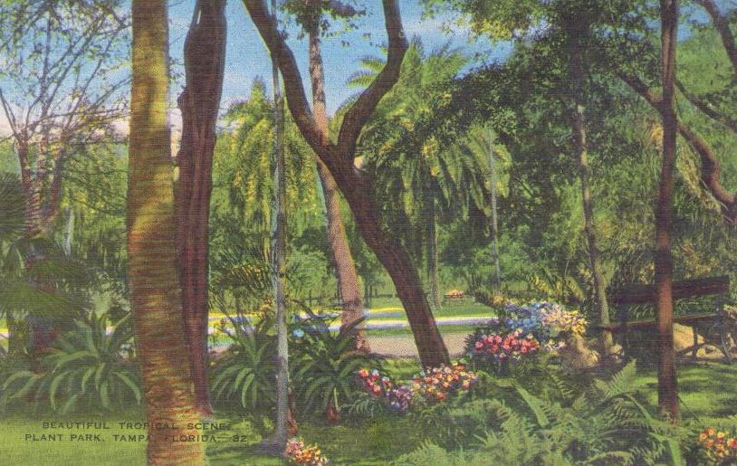 Tampa, Plant Park, Beautiful tropical scenes