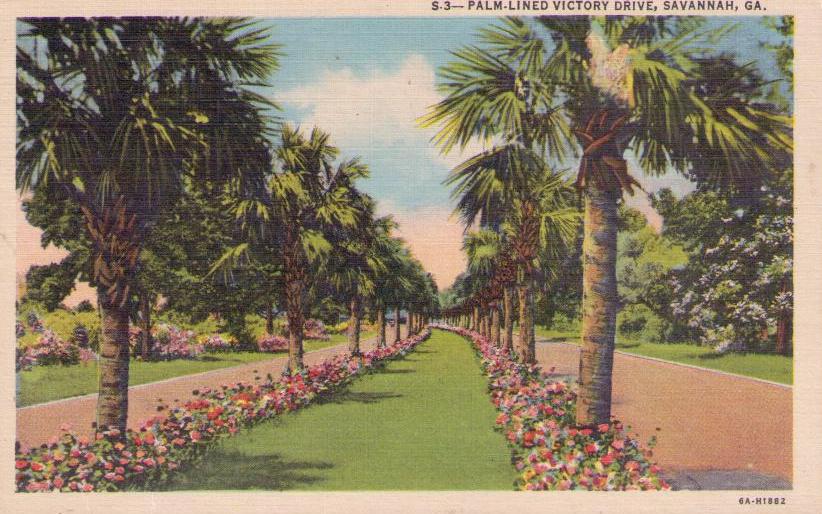 Savannah, Palm-Lined Victory Drive