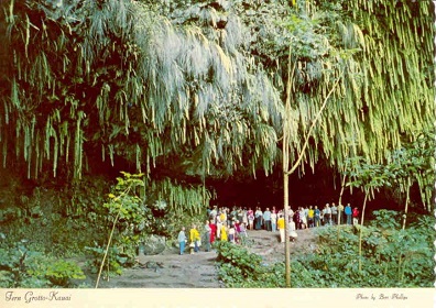Kauai, fern grotto