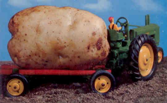 An Idaho Potato