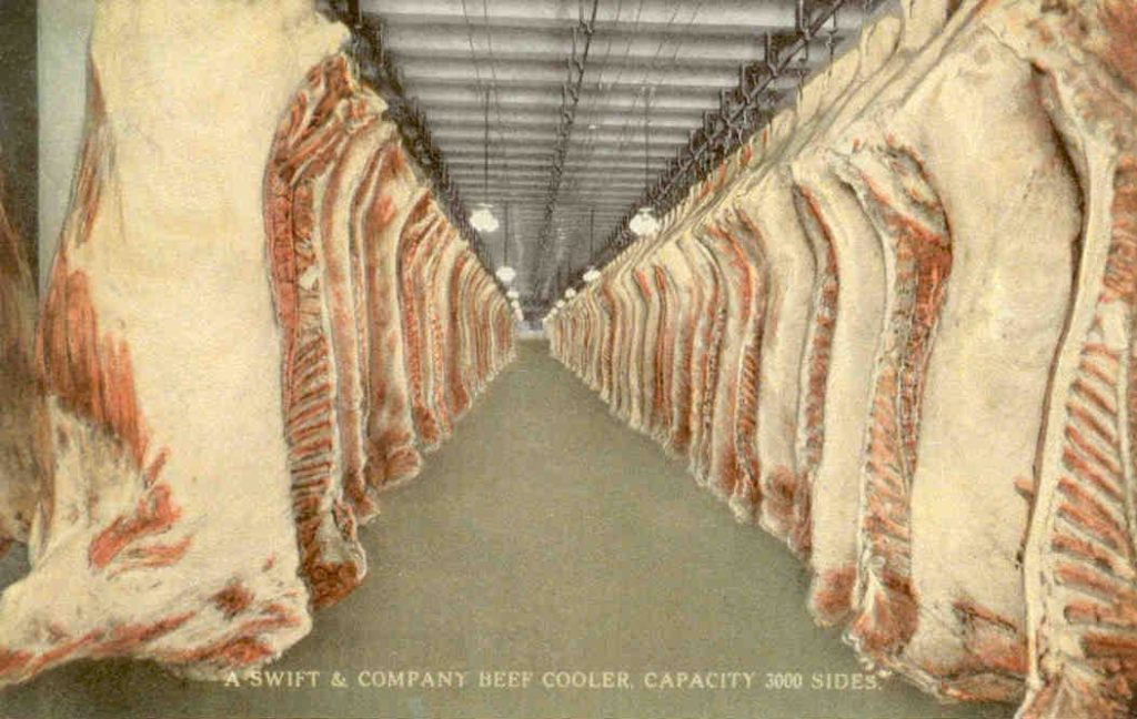 Chicago, Swift & Co., beef cooler