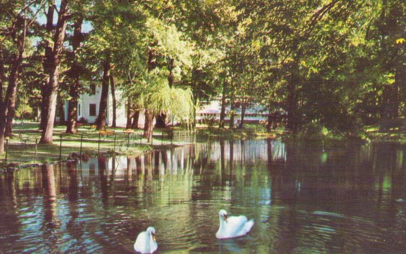 Winona Lake, The Swans