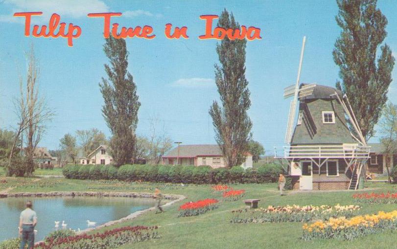 Tulip Time in Iowa