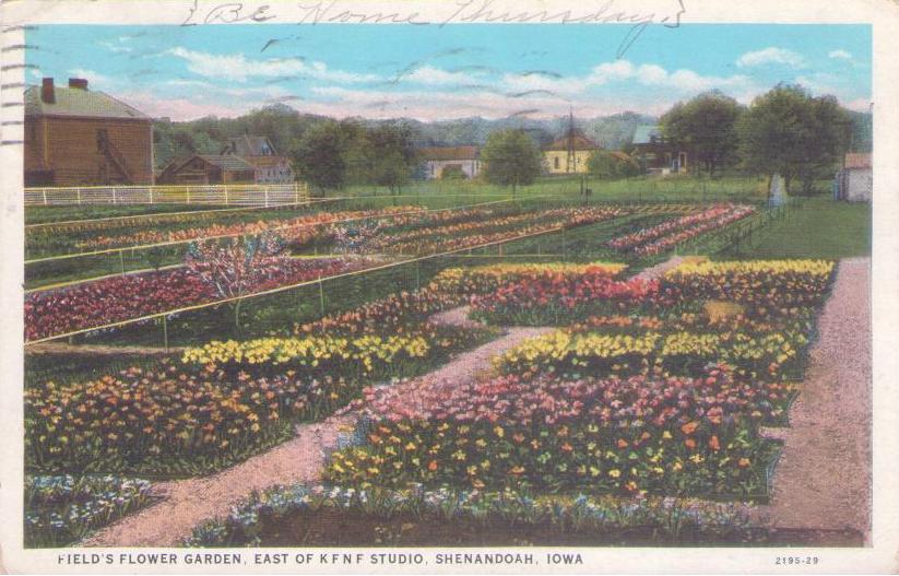 Shenandoah, Field’s Flower Garden, East of KFNF Studio