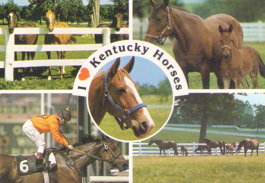 I (heart) Kentucky Horses