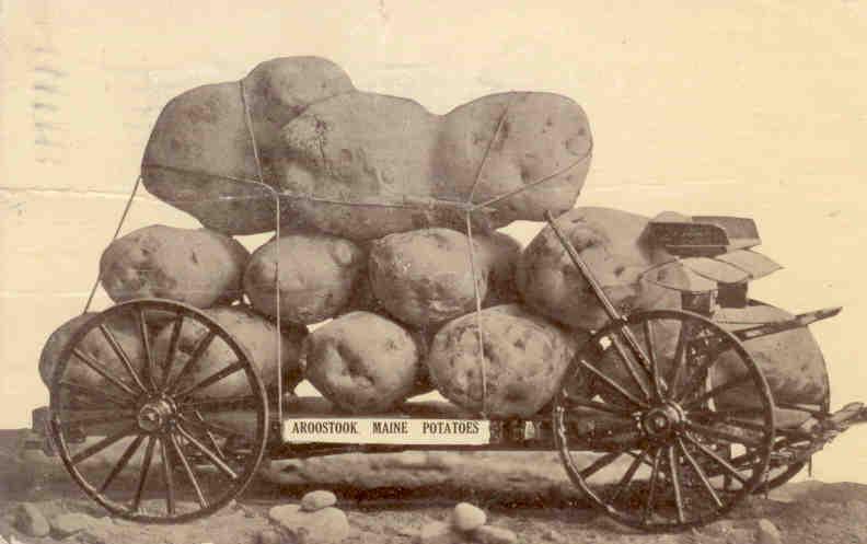 Aroostook Maine Potatoes