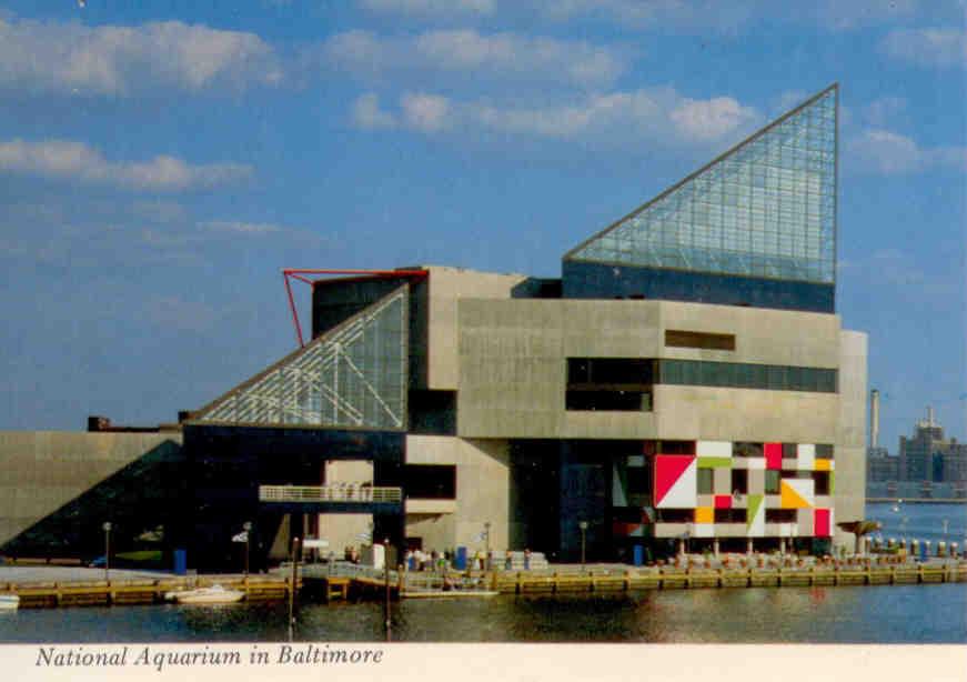 Baltimore, National Aquarium