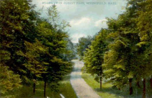 Springfield, Roadway in Forest Park