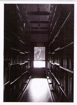 Cambridge, Harvard University, Widener Library