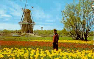 Holland, De Zwaan windmill