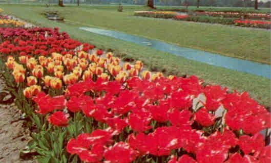 Holland, Veldheer Tulip Gardens