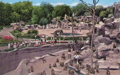 Detroit Zoo, Monkey Island