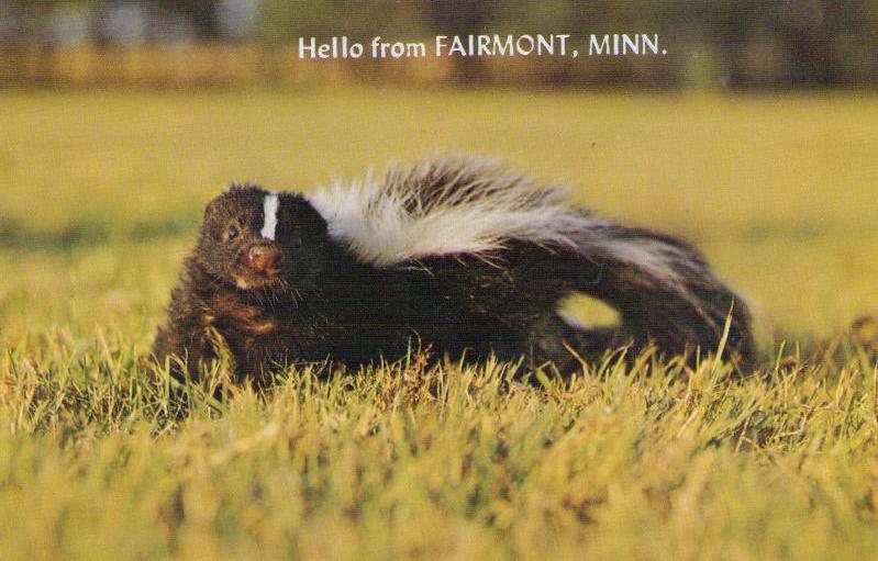Hello from Fairmont, Minn.