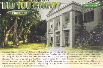Did You Know?  Plantation