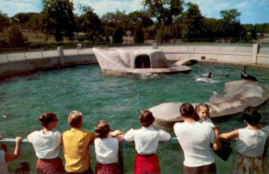 Kansas City, Swope Park Zoo, sea lion pool