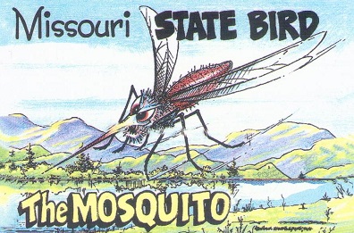 Missouri State Bird – The Mosquito