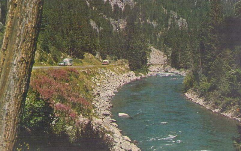 Gallatin River showing rose-colored Fireweed